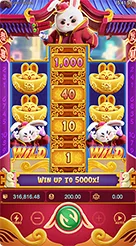 z188 · Fortune Rabbit